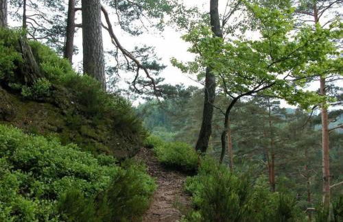 Holiday Home in Walscheid mit Terrasse- Grill by Interhome - Foto 32