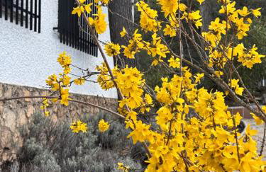 Alcarria , Casa del Agua - Foto 11