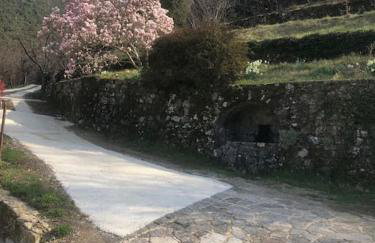 Studio avec terrasse dans mas historique cevenol - Foto 2