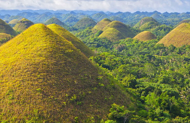 Tour por Bohol - Foto 4