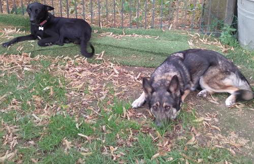 La Vista Sul Castello - Photo 27