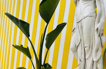 Emiliadourohouse - Foto 19