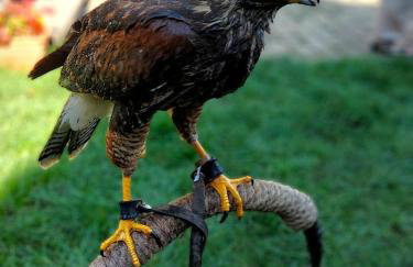 Wrzosowy Młyn - Twoje miejsce nad Jeziorem - Foto 75