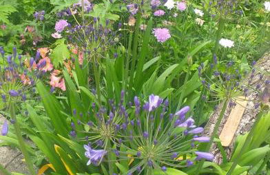 The LITTLE HOUSE in HULL - Foto 29