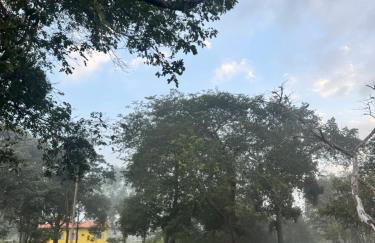 Pousada das Palmeiras - Foto 13