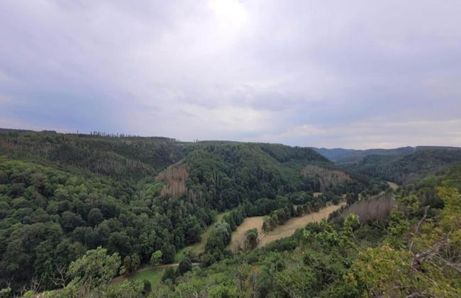 Ferienhaus in Meisdorf - Foto 25