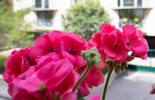 BEAUTIFUL apartment , beach 3 min walk , free parking, near Negresco - Foto 14