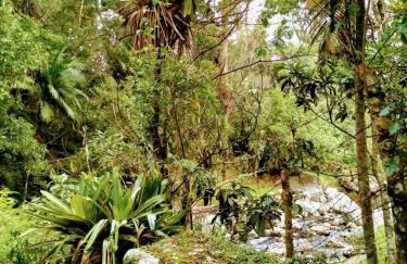 Chamego em Teresópolis próximo a feirinha - Foto 30