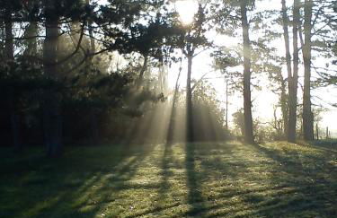 Cottage Prairie Bonheur - Foto 35