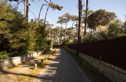 Ofir Beach Flat - Photo 66