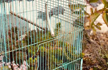 La Grange de Timon - Photo 23