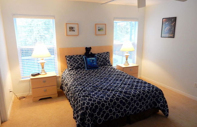 Tree Top Retreat - Foto 4