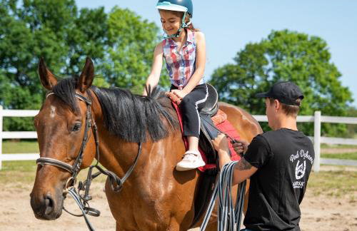 Apartamenty Pod Dębami Stadnina Koni SPA Jezioro i Morze Sarbsk - Photo 14