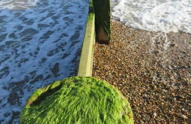 Horizon View - Photo 51