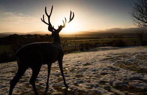 The Eagle's Nest - large house with hot tub and sauna - Foto 10