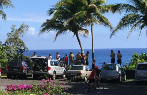 Whale House at Kehena Beach - Foto 16