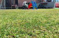 Tom's House - Photo 8