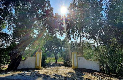 Quinta Flores - Foto 23