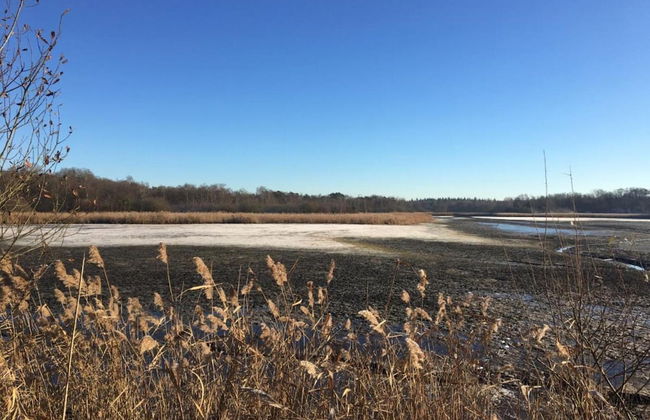 Cottage in Leenderbos Near Nature Reserve - Photo 34