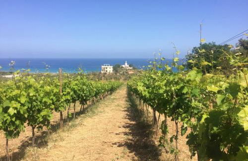 Agriturismo biologico 'A Lanterna - Foto 67