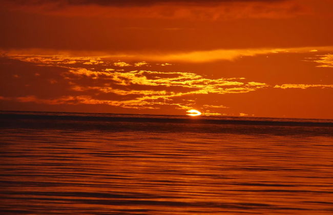 Tahiti Sail and Dive - Foto 38