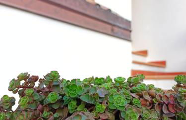 Le Sorgenti Guest House - Foto 24