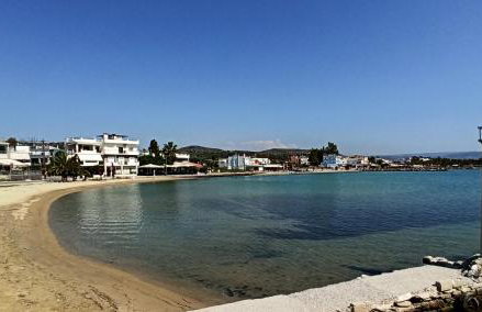 Λευκό γιασεμί - Photo 19