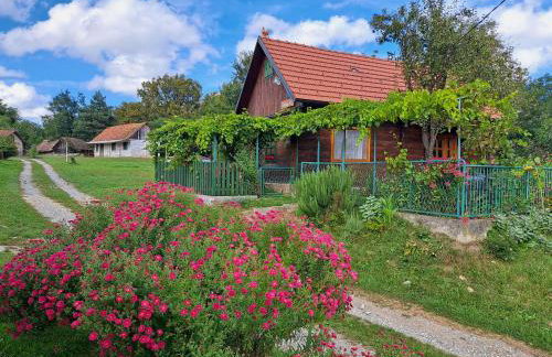 Kokotova hiža - Photo 22