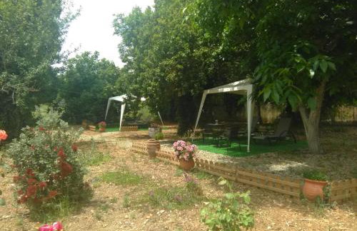 Diogenis Residence Euphoria - Foto 63