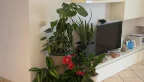 Rifugio Verde - Foto 5