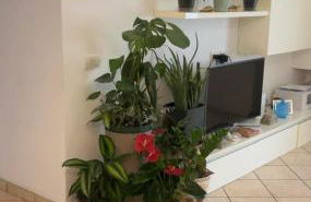 Rifugio Verde - Foto 5