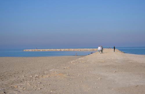 Apartamento Mar de Luna LOCDENIA - Foto 17