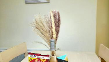 N2 Spacious cozy flat near Divonne center - Foto 2