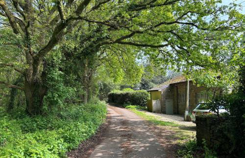 Oak Tree Cottage - Photo 48