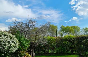 Alma Garda Home - Foto 50