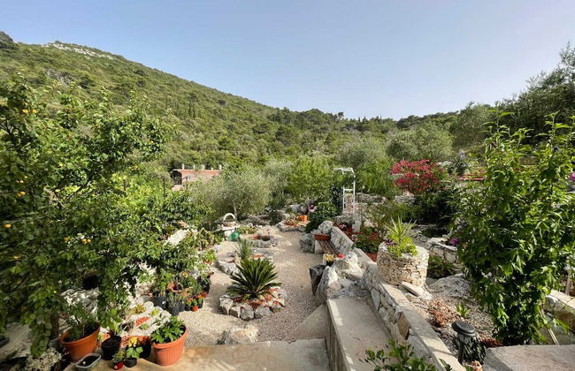 Apartments Leviana - Foto 38