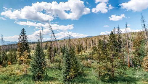 Watch Hill 216 - Foto 2