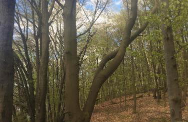 Apartament Pod Kasztanami - BIAŁY - Foto 25