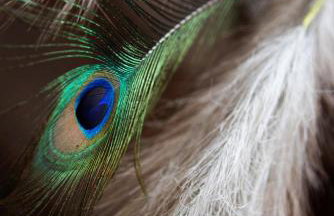 Inalia Modern House - Foto 11