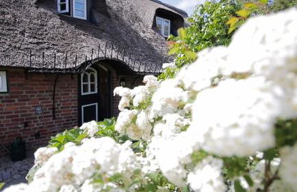 Sütjers Hüs - großes Nest - Foto 21