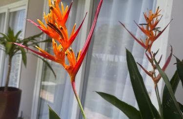 Casa em Arraial d'Ajuda - Foto 17