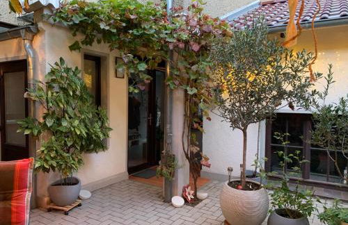 DIE FeWo Bleicherode zwischen Harz und Kyffhäuser - Foto 32