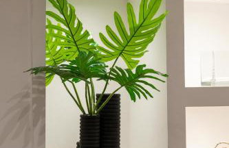 Memories Gytheio - Foto 48