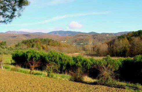 Agriturismo Campo del Monte - Photo 37