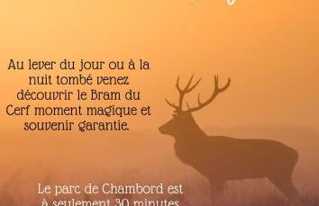 Studio en centre ville climatisé - Foto 10