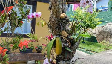 Casa Inteira em Jurerê In e vista panorâmica - Foto 5