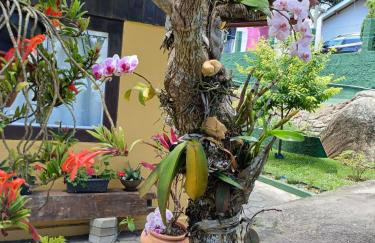 Casa Inteira em Jurerê In e vista panorâmica - Foto 5