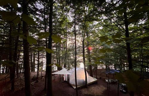 Hammock Haven Island Dome - Foto 21