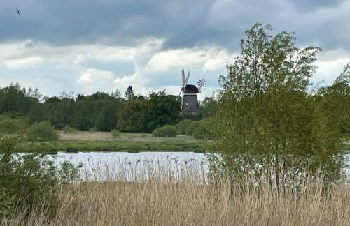 Uhlenhoff Boyken - Photo 4