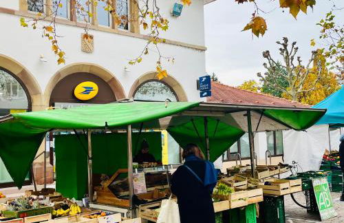 Appartements des Logis des Jardiniers Strasbourg-Roberstau - Foto 22